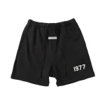 Essentials Hoodie Collection 1977 Shorts